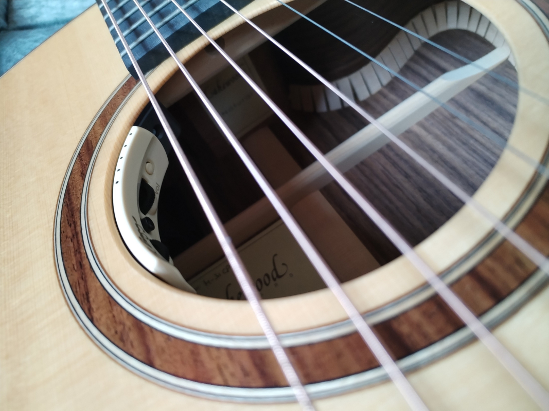 Lakewood M-31CP *Demomodell*