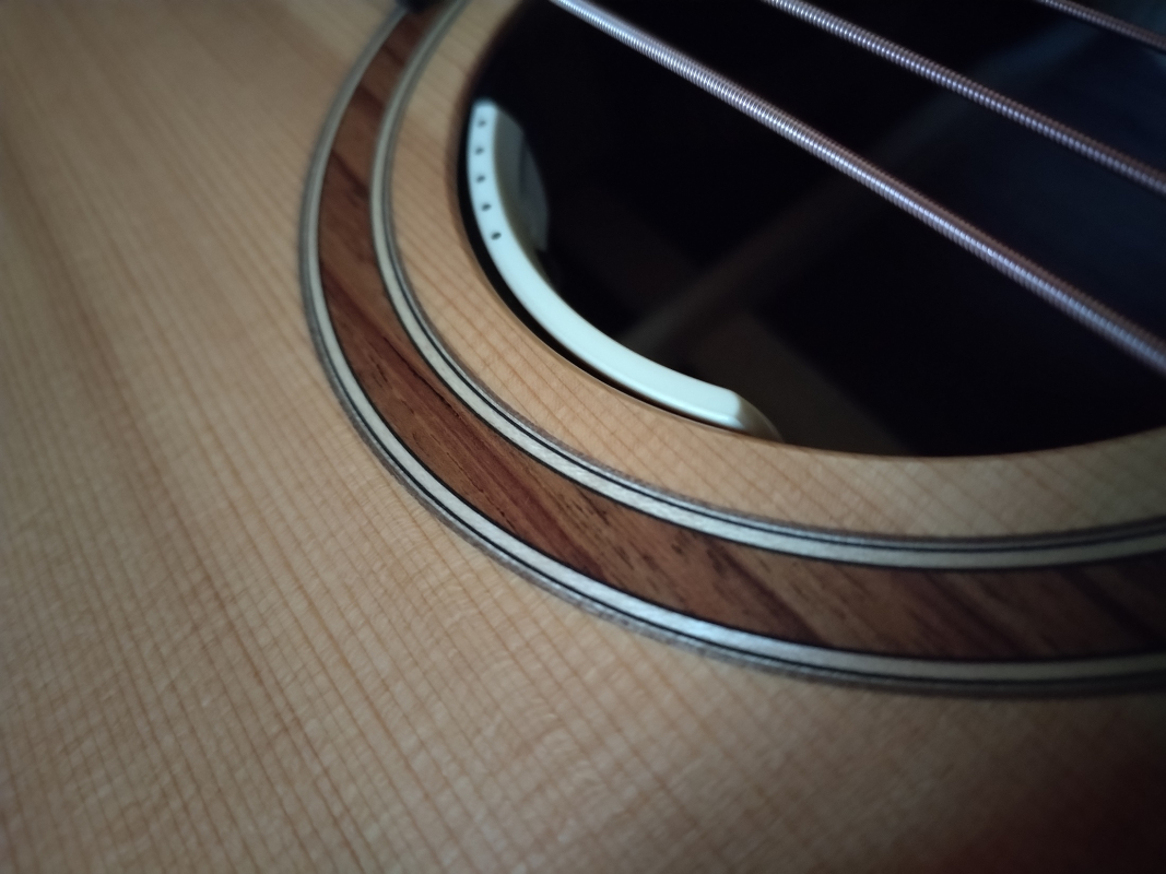 Lakewood M-31 Custom Bariton *Demomodell*