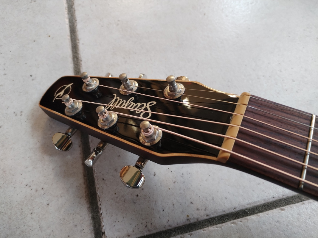 Seagull Coastline Momentum A/E HG second hand