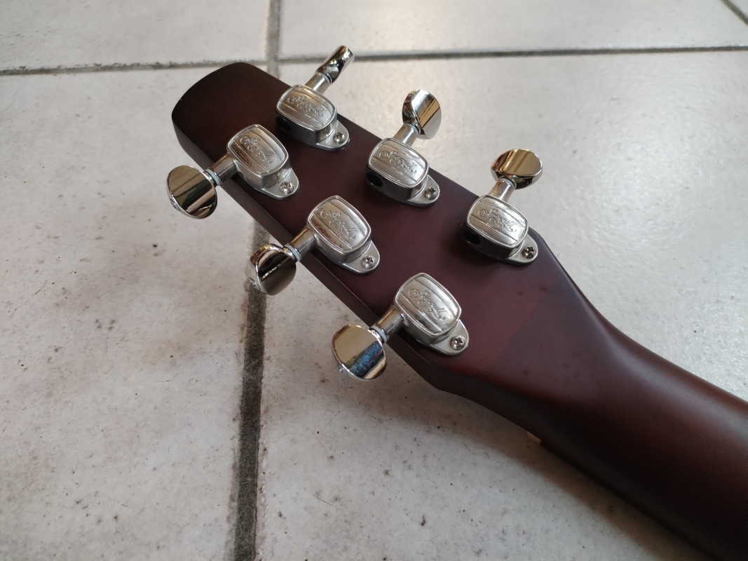 Seagull Coastline Momentum A/E HG second hand