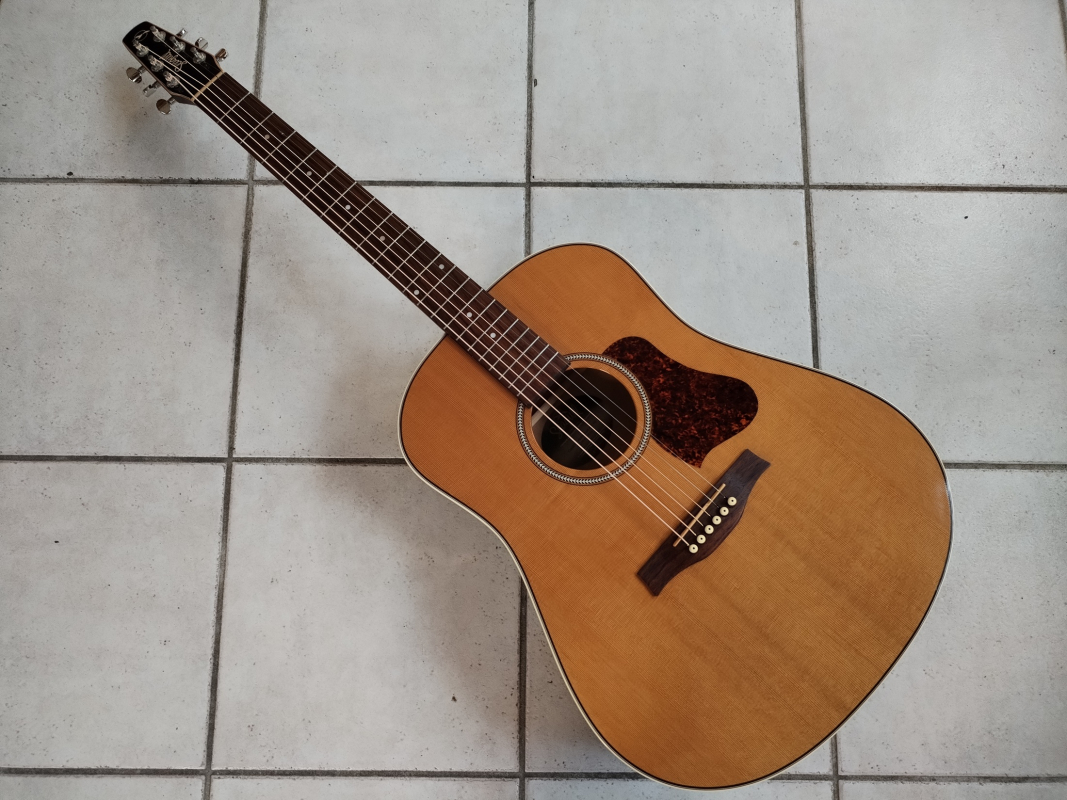 Seagull Coastline Momentum A/E HG second hand