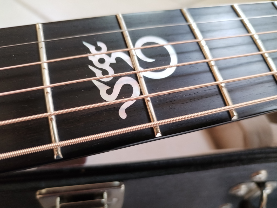 Santa Cruz BPW Brad Paisley Signature second hand