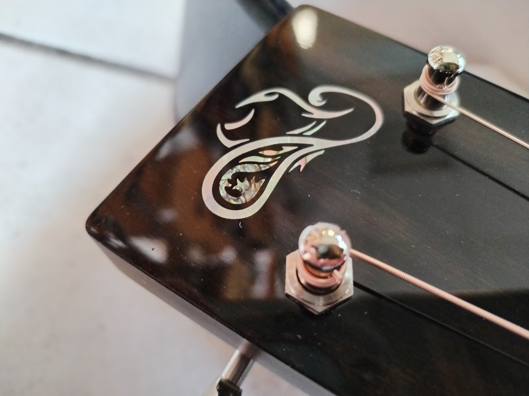 Santa Cruz BPW Brad Paisley Signature second hand