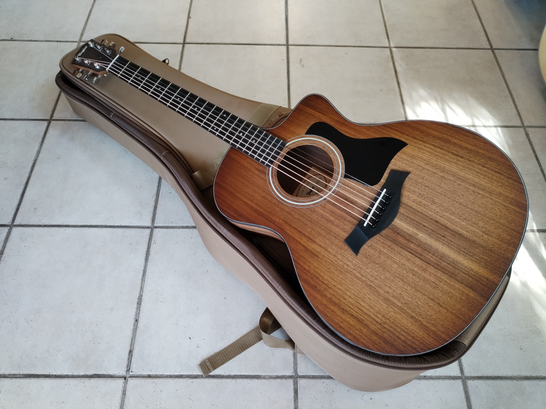 Taylor 124ce Walnut limited edition second hand