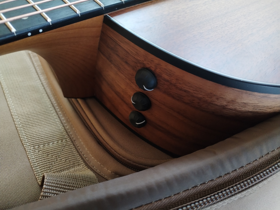 Taylor 124ce Walnut limited edition second hand