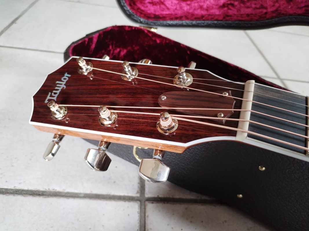 Taylor 815e Legacy Serie