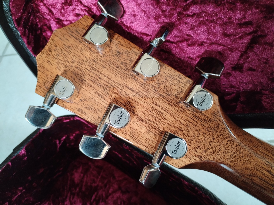 Taylor 815e Legacy Serie