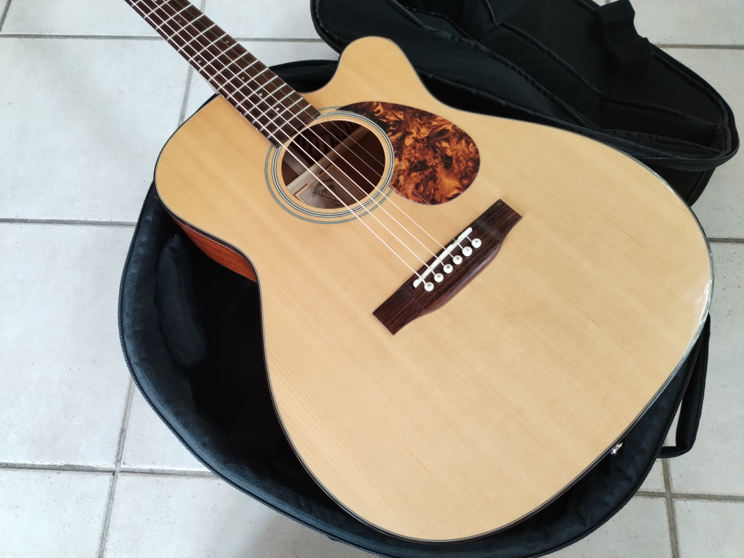 Voyage-Air Guitars VAOM-1C second hand