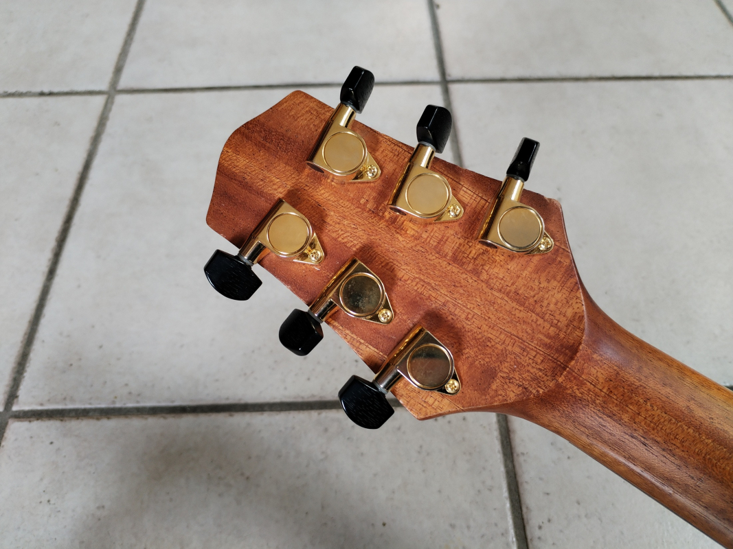 Voyage-Air Guitars VAOM-1C second hand