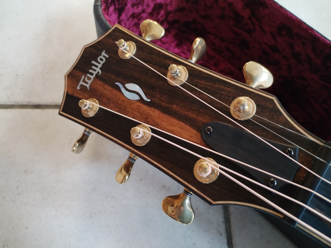 Taylor Builder´s Edition 816ce second hand