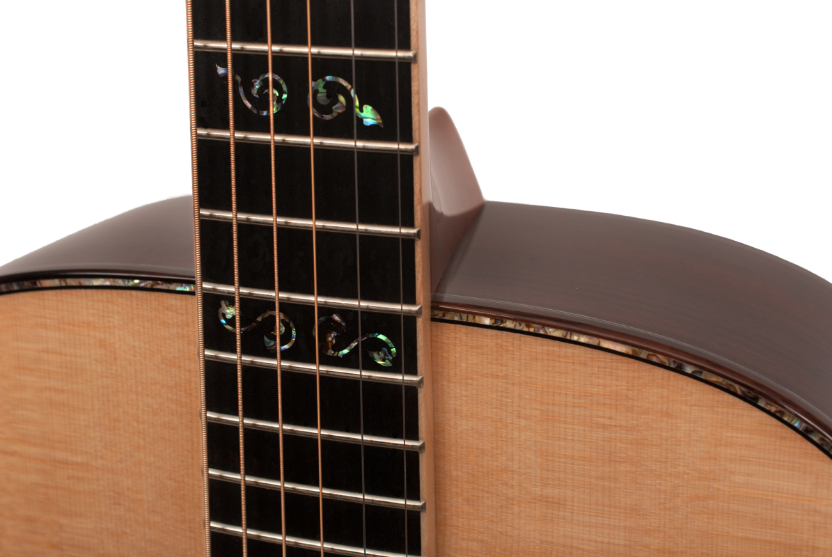 Larrivee D-10E L.R.Baggs Anthem Pickup System