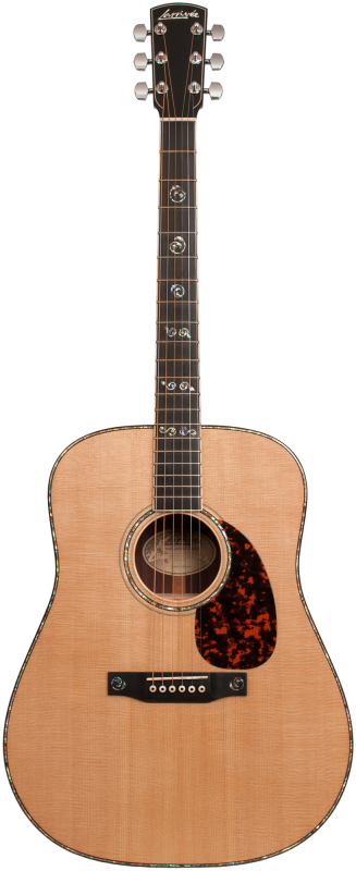 Larrivee D-10E L.R.Baggs Anthem Pickup System