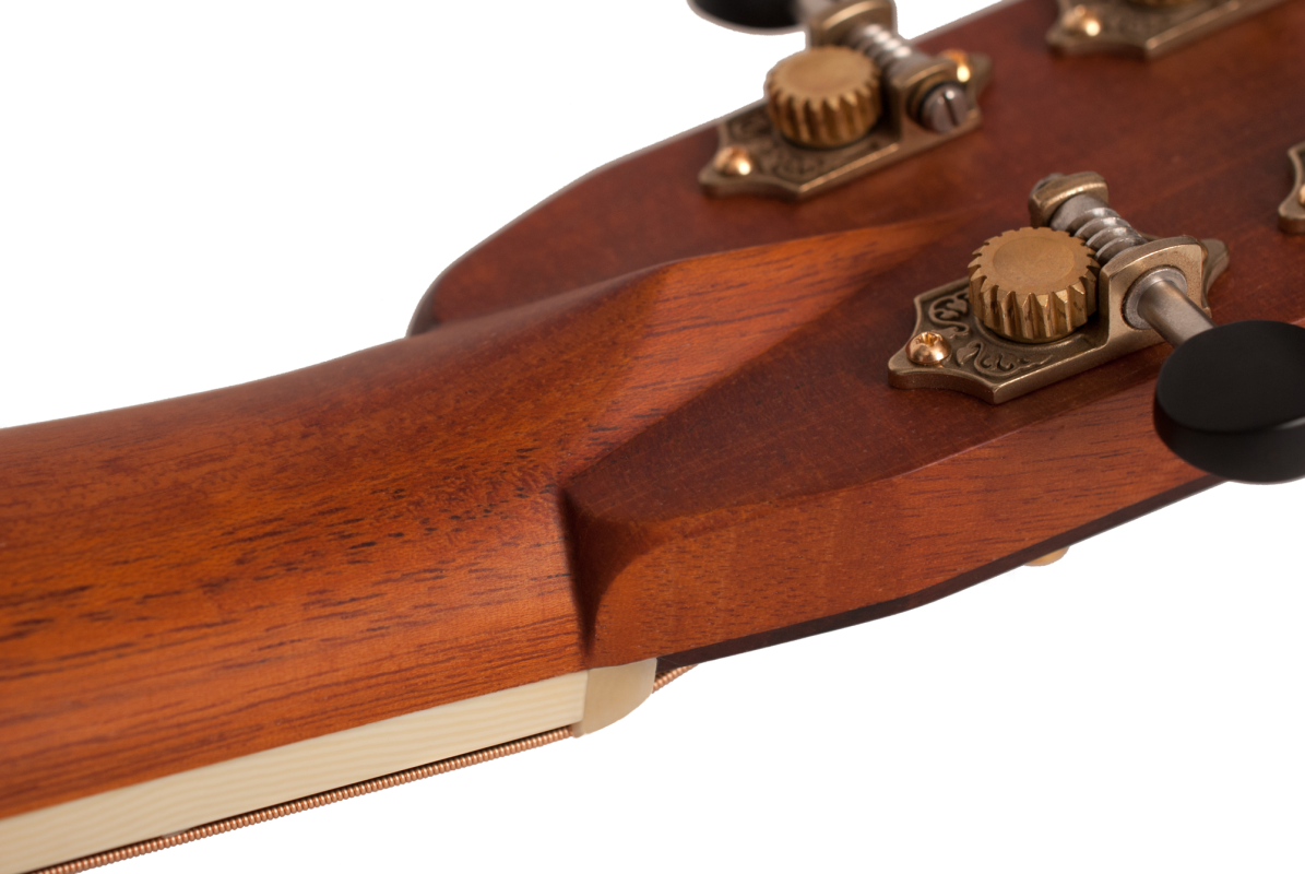 Larrivee D-60E L.R.Baggs Anthem Pickup System