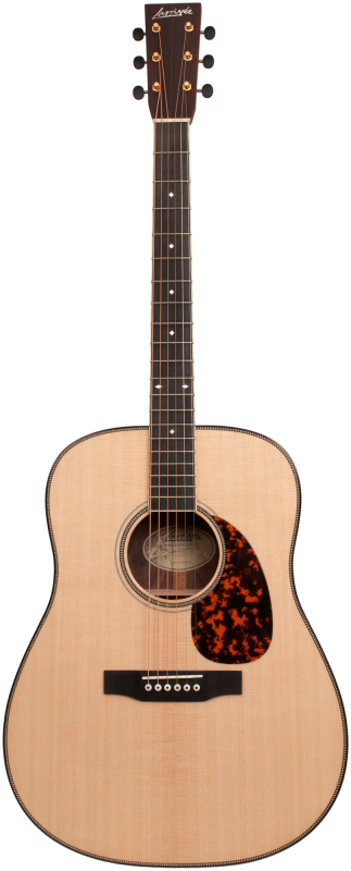 Larrivee D-60E L.R.Baggs Anthem Pickup System