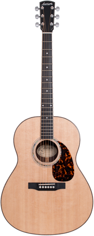 Larrivee L-09E L.R.Baggs Anthem Pickup System