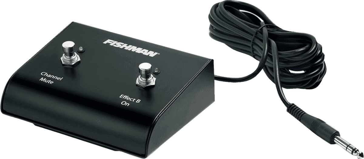 Fishman Dual Footswitch