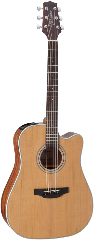 Takamine GD-20CE NS