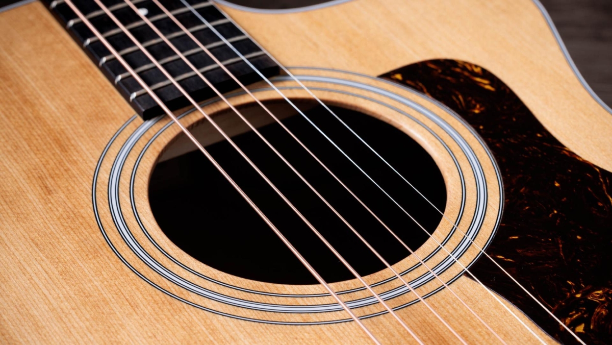 Taylor  214ce