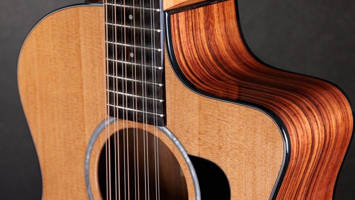Taylor 254ce Plus