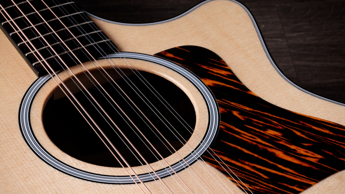Taylor 454ce 12 string Next Generation