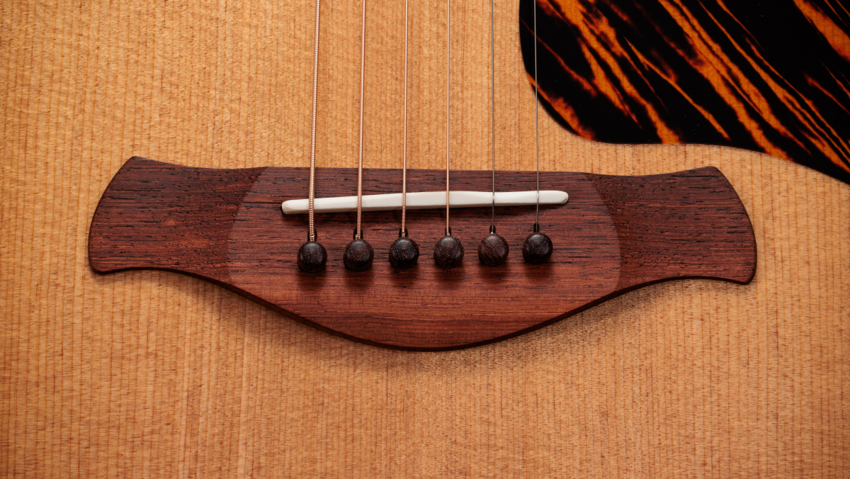 Taylor Gold Label 710e