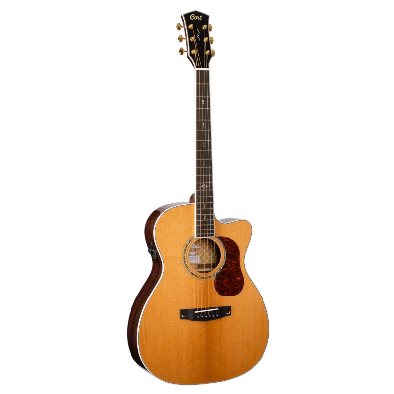 Cort Gold OC-8