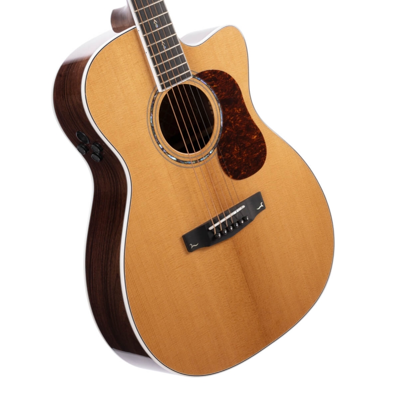 Cort Gold OC-8