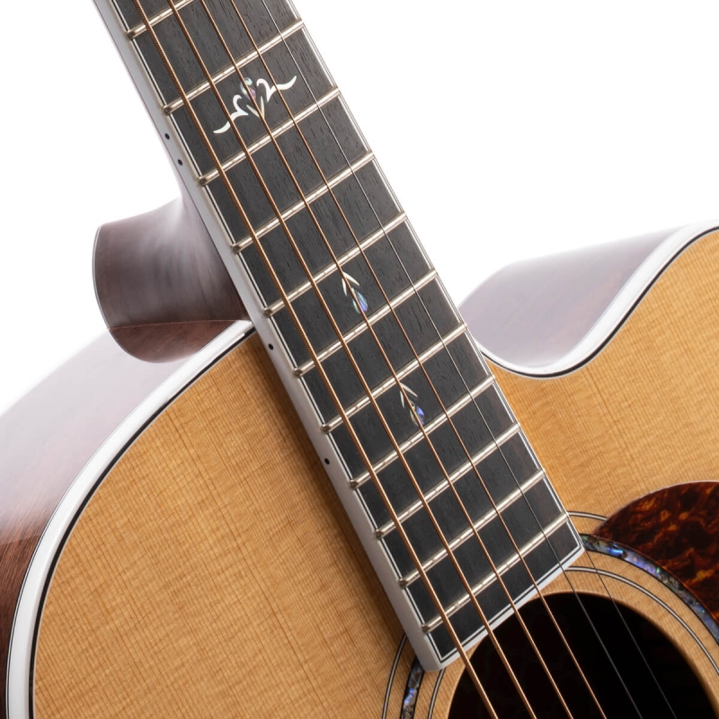 Cort Gold OC-8