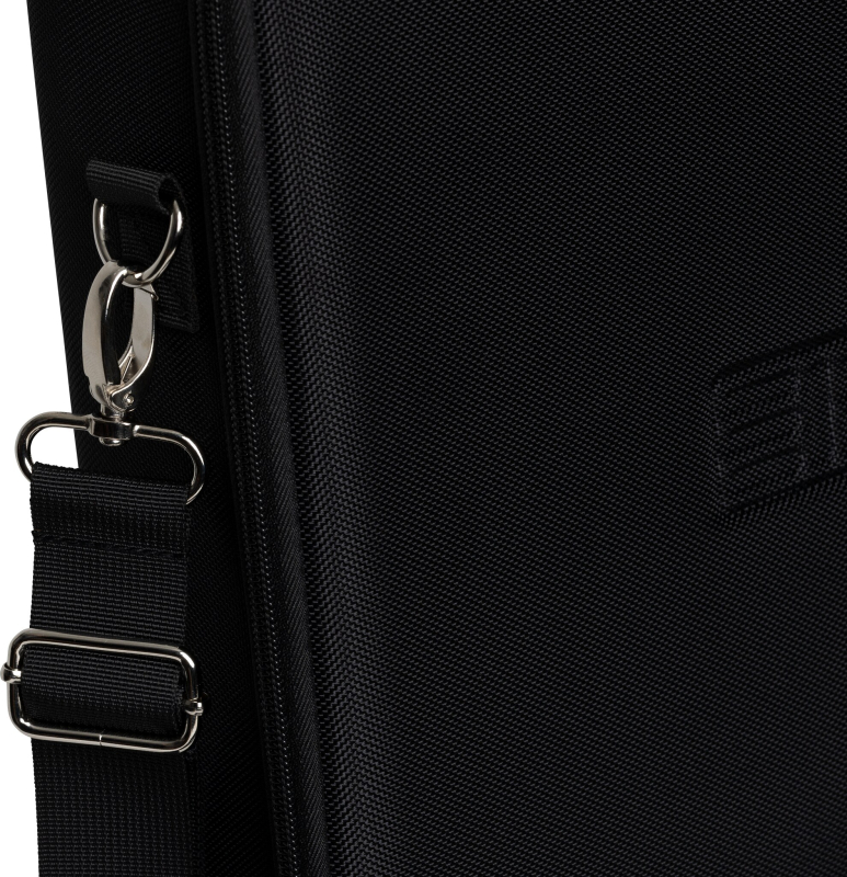 Eich Amplification EVA-2