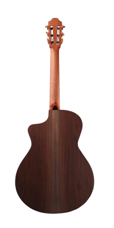 Furch GNc2-SW w/LR Baggs EAS-VTC