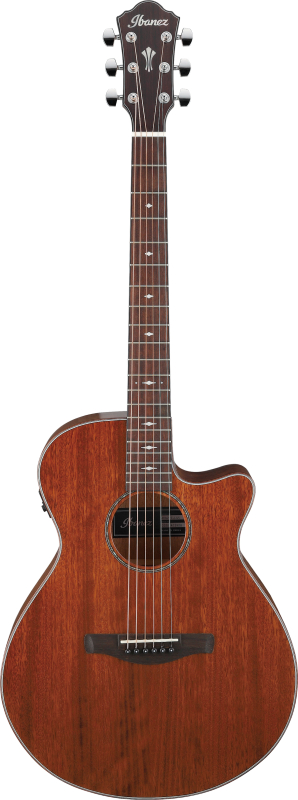 Ibanez AEG-220 LGS