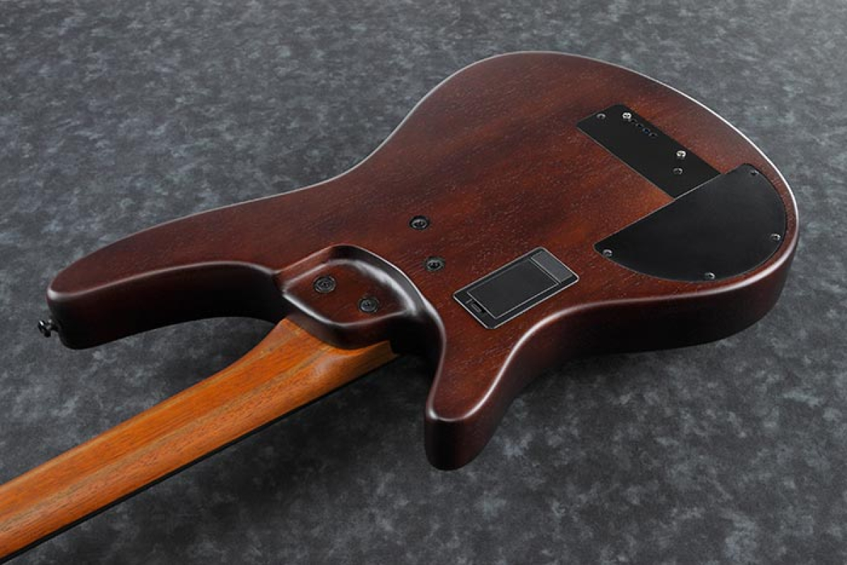 Ibanez Bass Workshop SRH500F-NNF Fretless