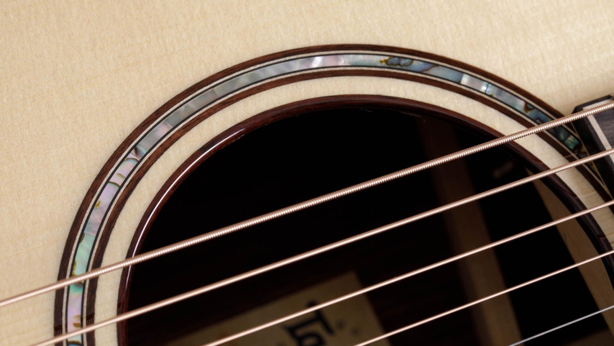 Taylor 814ce Builders Edition