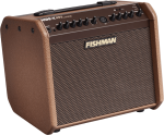 Fishman Loudbox Mini charge