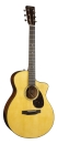 Martin SC-18E L.R.Baggs Anthem